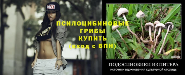 альфа пвп Вяземский