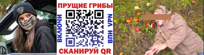 Галлюциногенные грибы прущие грибы  Купить где  Туапсе 